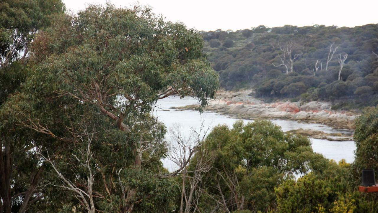 Bay Of Fires Seachange Ocean Frontage Binalong Bay Esterno foto