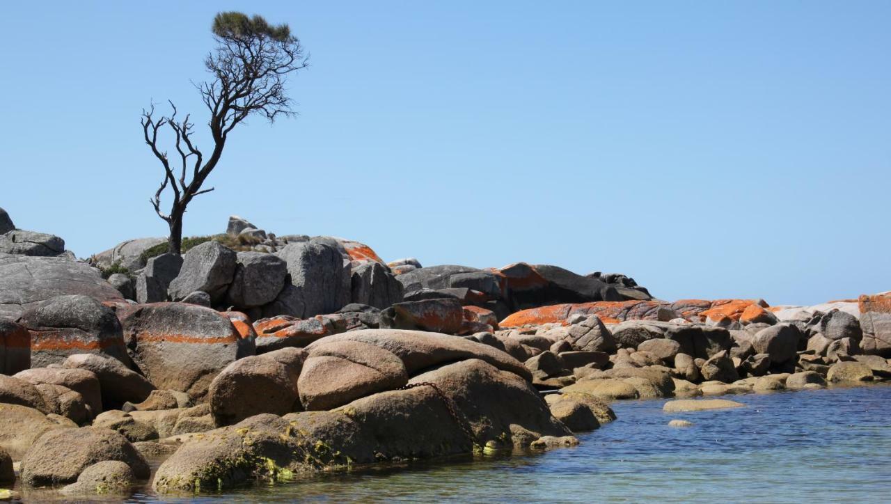Bay Of Fires Seachange Ocean Frontage Binalong Bay Esterno foto