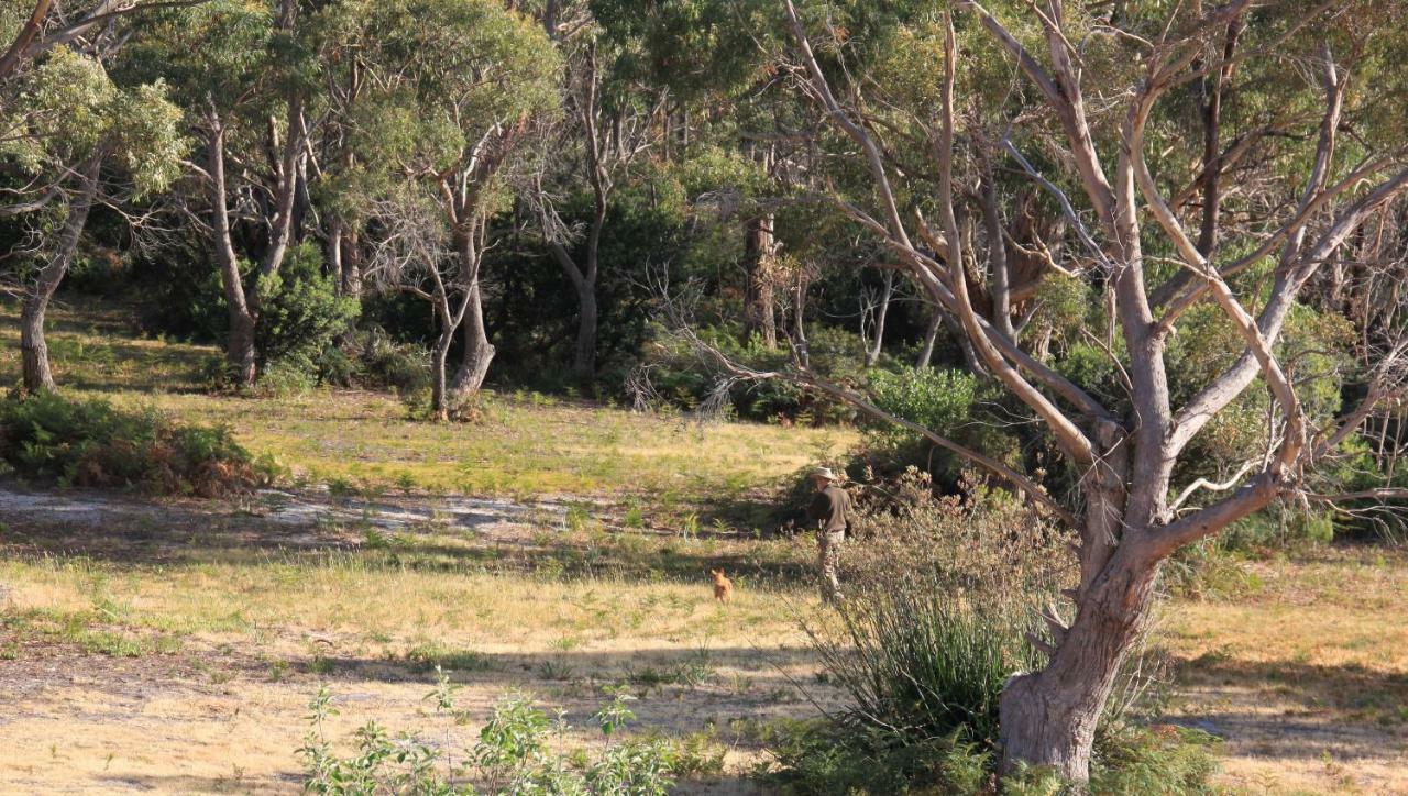 Bay Of Fires Seachange Ocean Frontage Binalong Bay Esterno foto