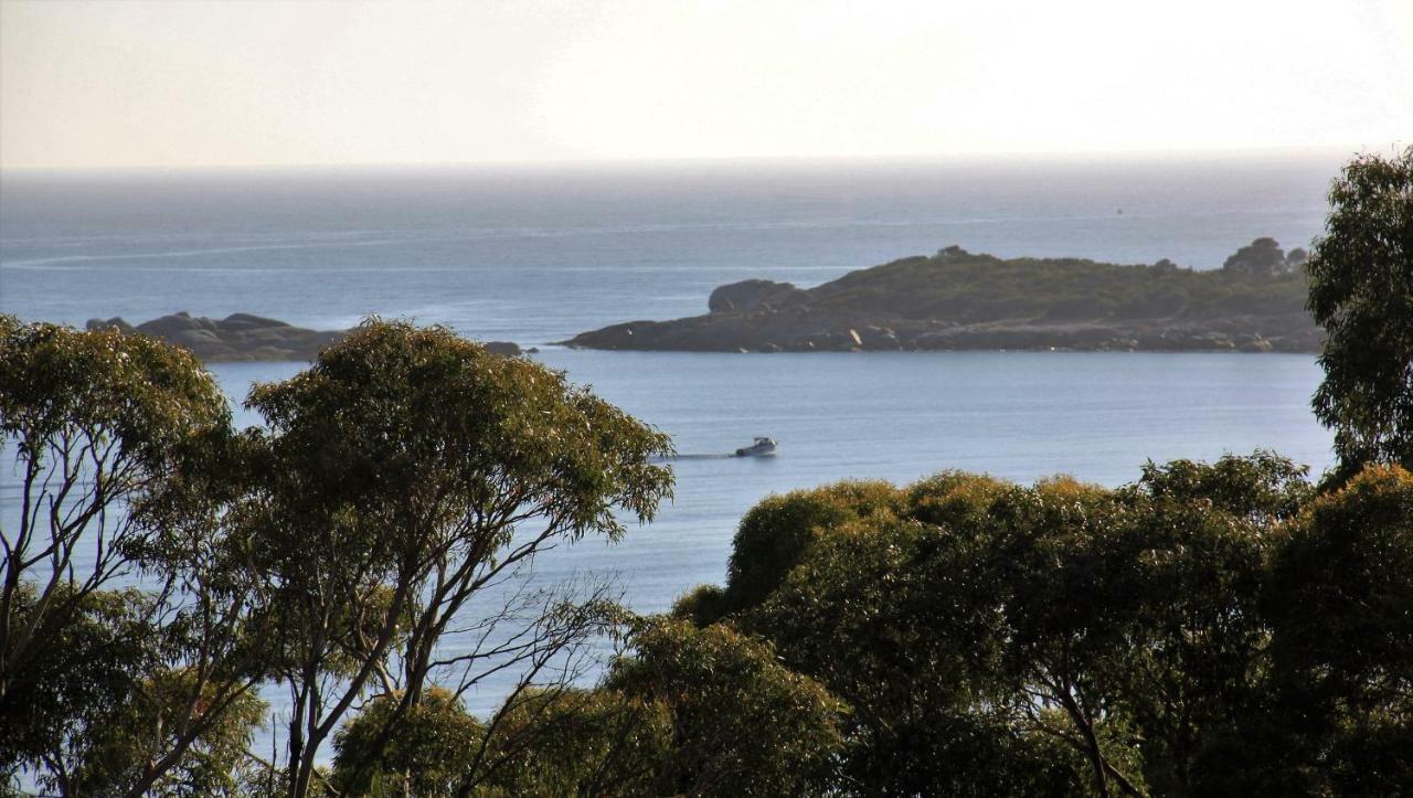 Bay Of Fires Seachange Ocean Frontage Binalong Bay Esterno foto